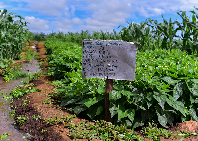 Traceable quality - managed at every stage, from seed to shelf
