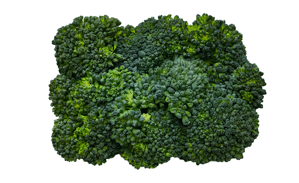 broccoli-kenya-fresh-produce-exporters
