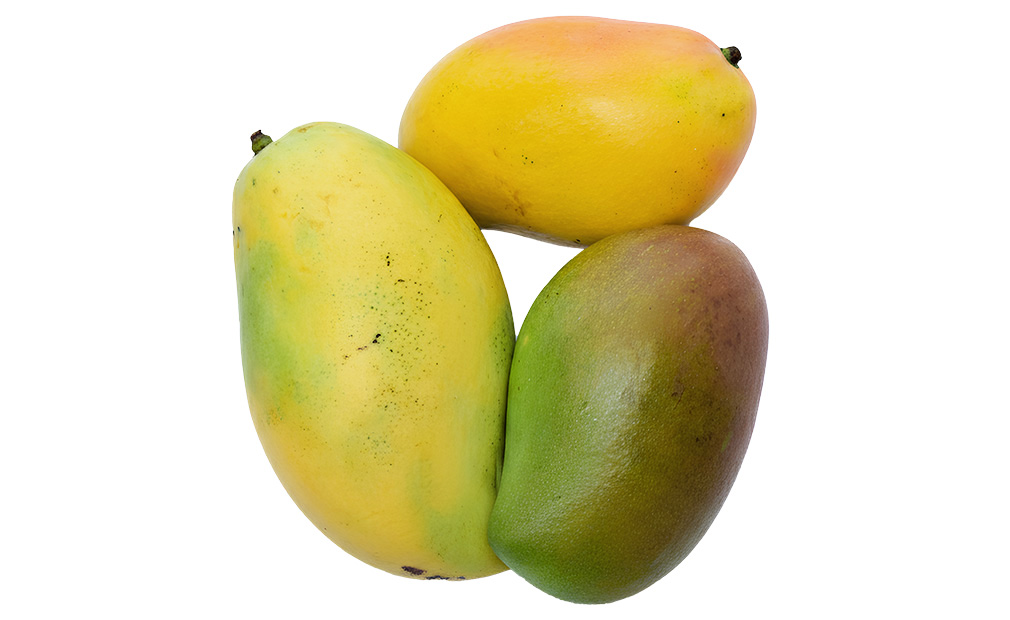 mangoes-kenya-fresh-produce-exporters