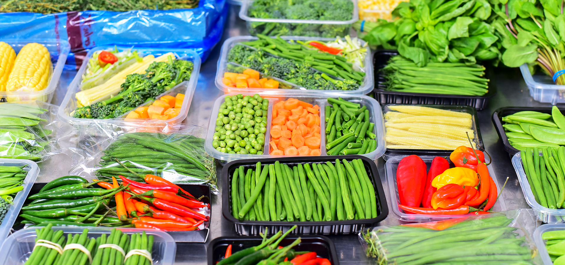Premium Kenyan Horticulture Tailored for Global Retailers Kenya Fresh