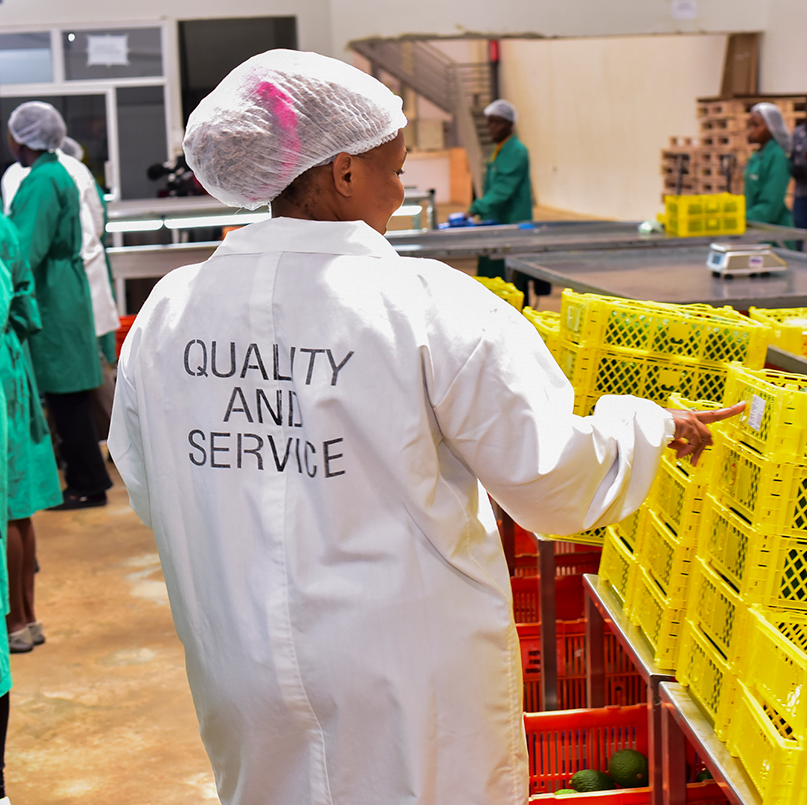 quality-and-service-kenya-fresh-produce-exporters
