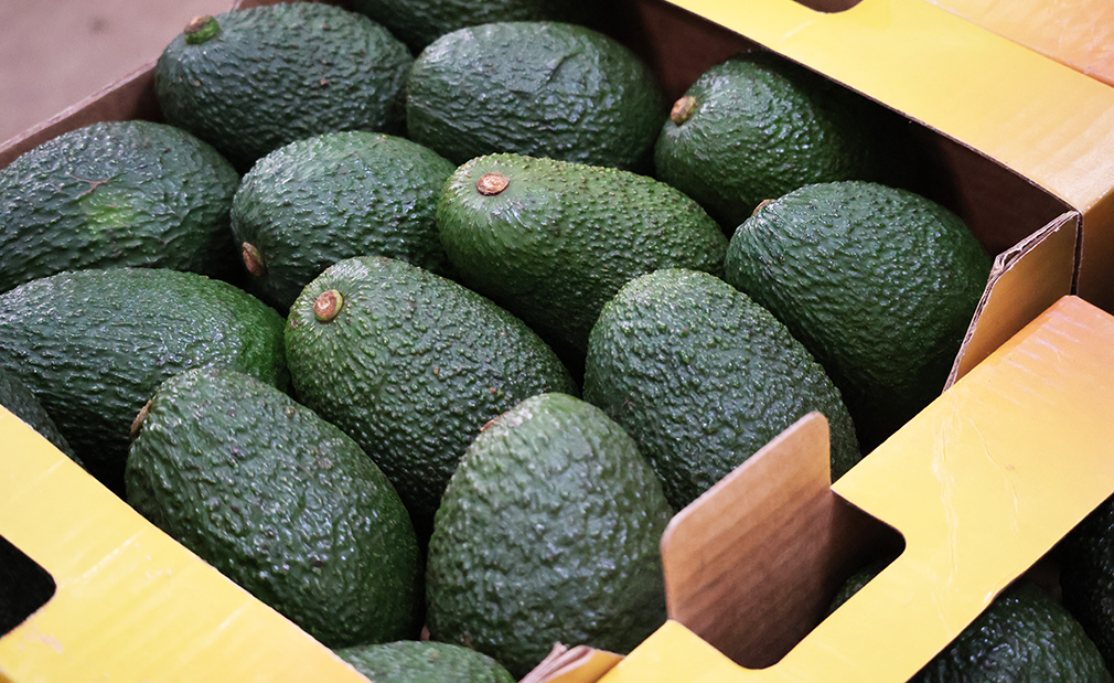 avocados-kenya-fresh-produce-exporters