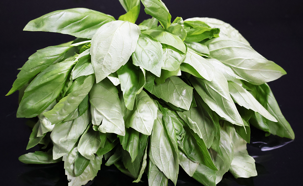 herbs-basil-kenya-fresh-produce-exporters
