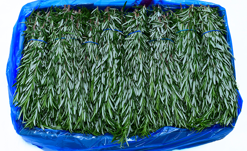 herbs-rosemary-kenya-fresh-produce-exporters