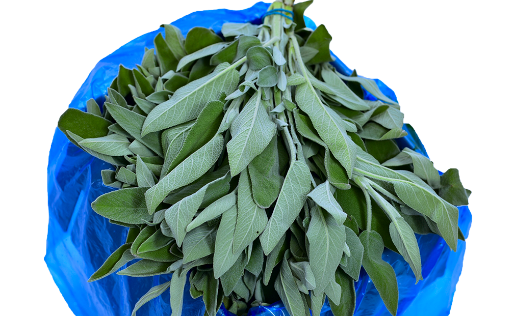 herbs-sage-kenya-fresh-produce-exporters