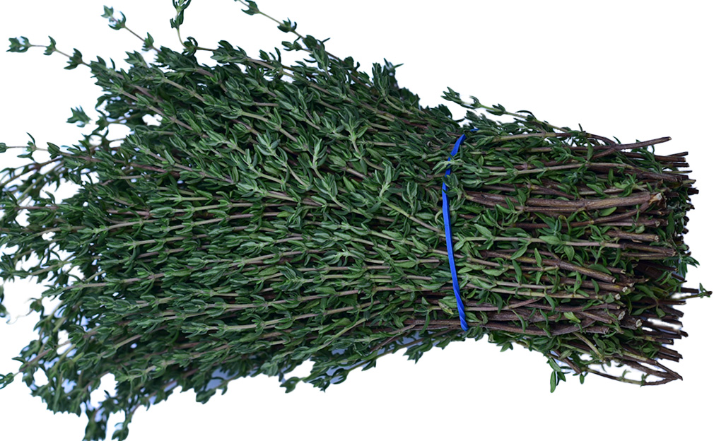 herbs-thyme-kenya-fresh-produce-exporters