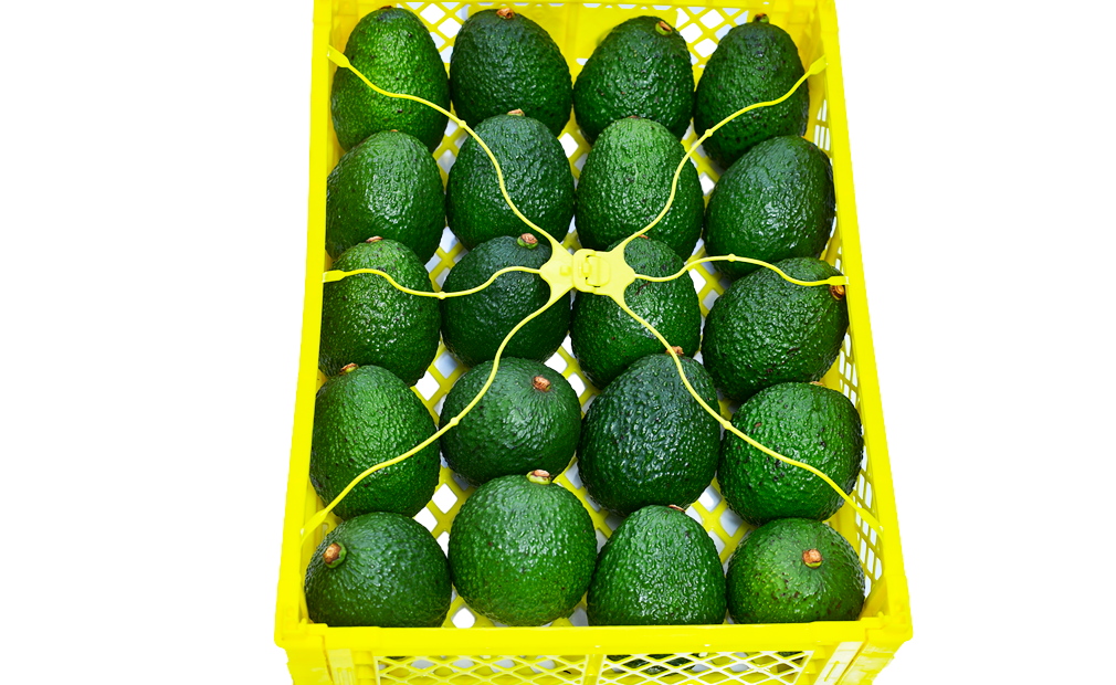 avocados-kenya-fresh-produce-exporters